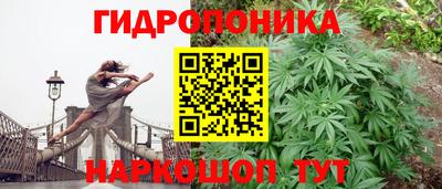 Альфа ПВП Можайск