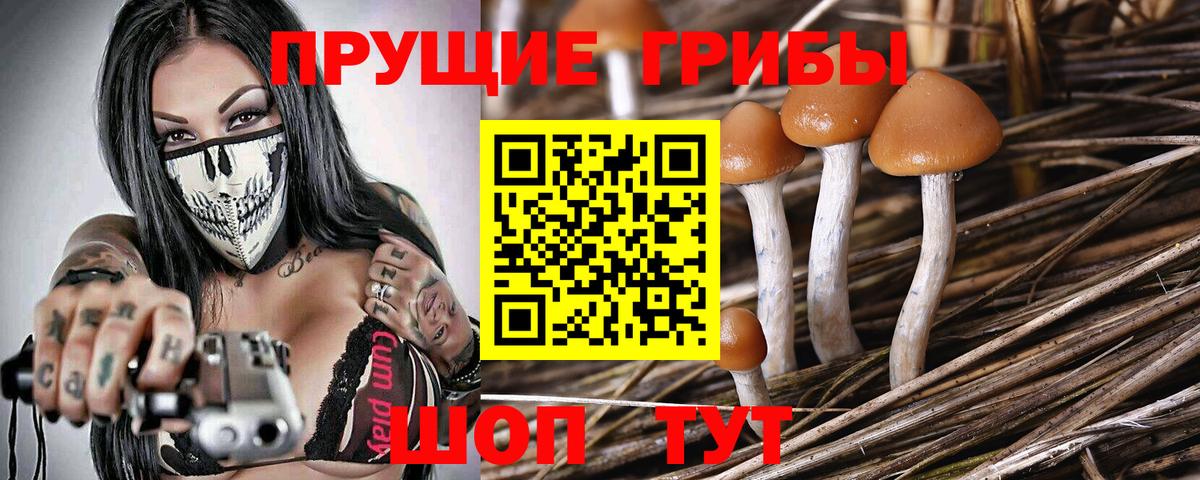 Галлюциногенные грибы MAGIC MUSHROOMS  Галлюциногенные грибы Psilocybine cubensis  наркотики  Урус-Мартан  Вход с VPN 
